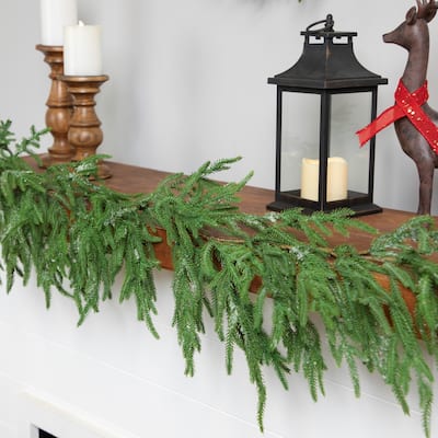 Frosted Norfolk Pine Artificial Christmas Garland - 5' - Unlit