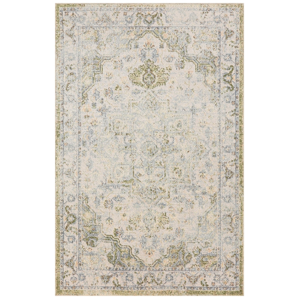 Nourison Abby Machine Washable Indoor only Persian Floral Area Rug.