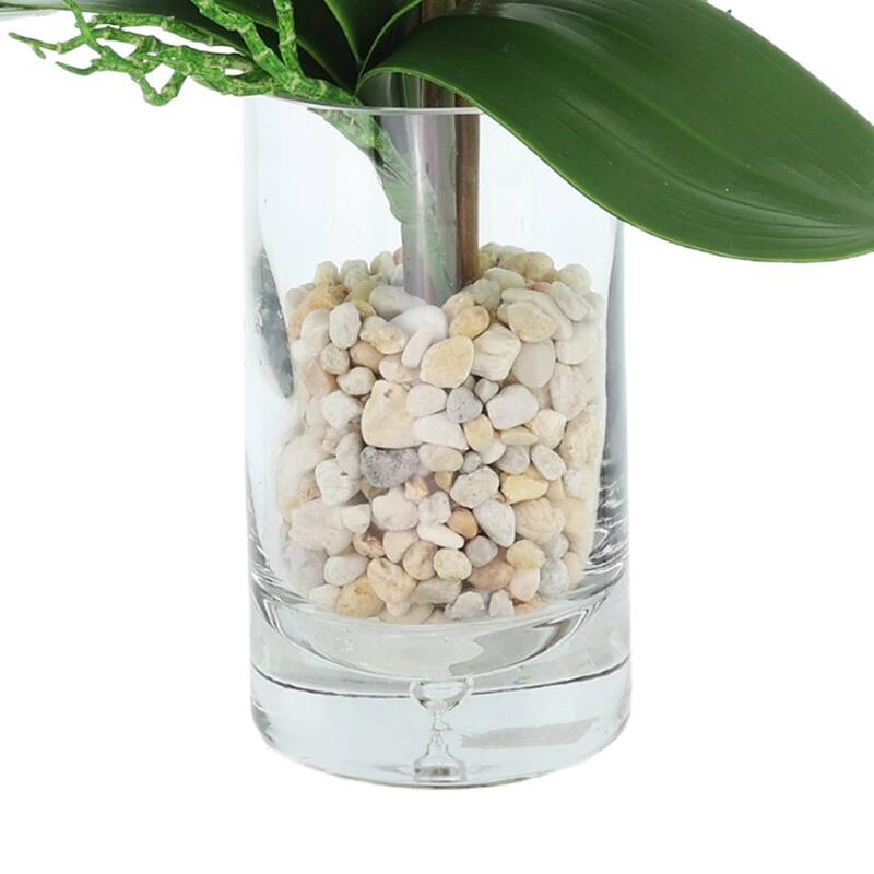 Orchids Arranged in Glass Vase with Rocks - 25
