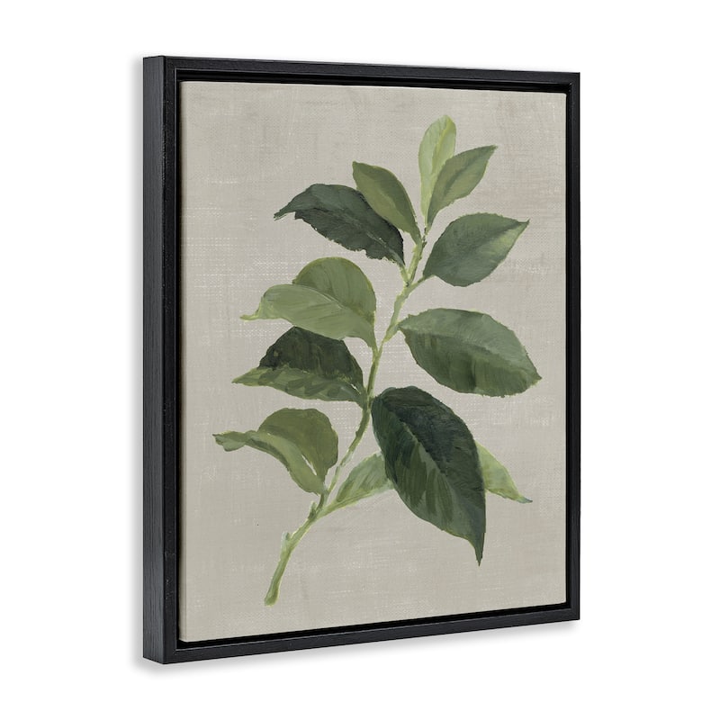 Stupell Arabica Coffee Plant Leaf Framed Floater Canvas Wall Art Design By Lanie Loreth