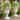 Christopher Knight Home - Classical Outdoor Set of 2 Urn Planters, 23.03"H Lighweight Concrete MGO Floral Relief & Pedestal Base