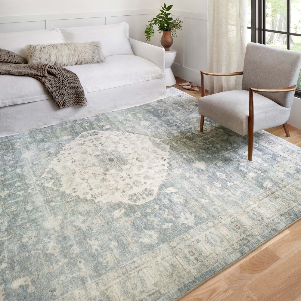 Alexander Home Juliet Ultra-soft Distressed Medallion Rug