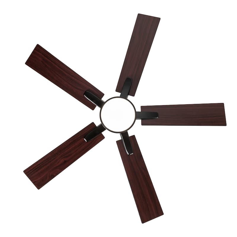 42" 5-Blade Black/White Modern LED Ceiling Fan with Light and Remote