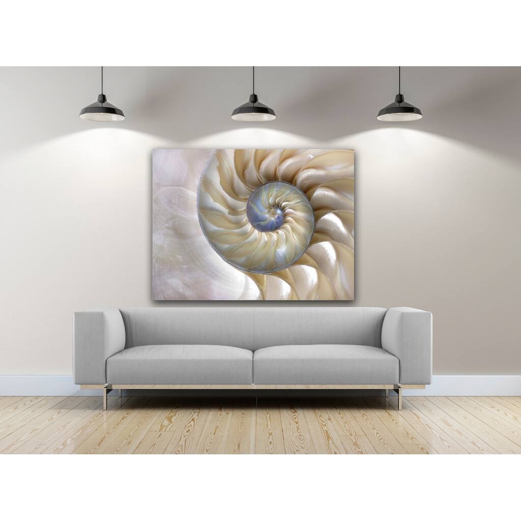 Sea Shell Swirl Photography Canvas Art
