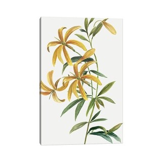 iCanvas "Yellow Tropical Flowers II" by Asia Jensen Canvas Print - Bed ...