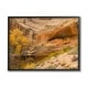 Stupell Desert Foliage Landscape Southwestern Canyon Cliff Framed Wall ...