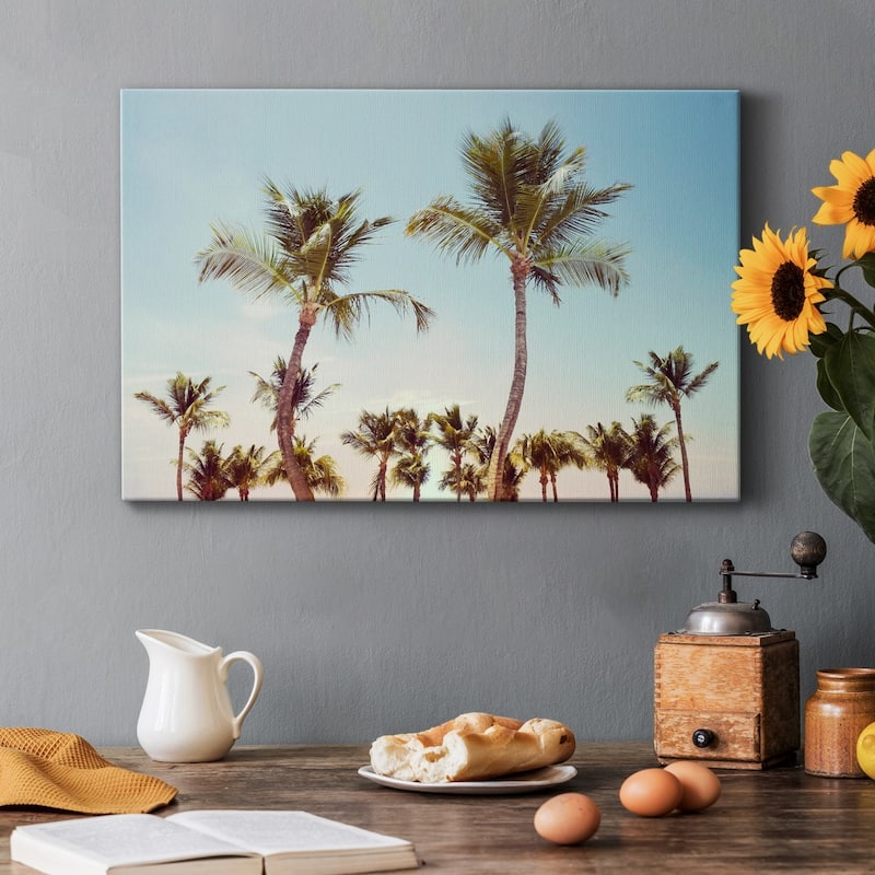Aruba Palm Premium Gallery Wrapped Canvas - Ready to Hang