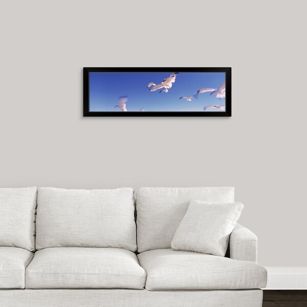 "Florida, Flagler Beach, Atlantic Ocean, Seagulls flying along Route A1A" Black Framed Print