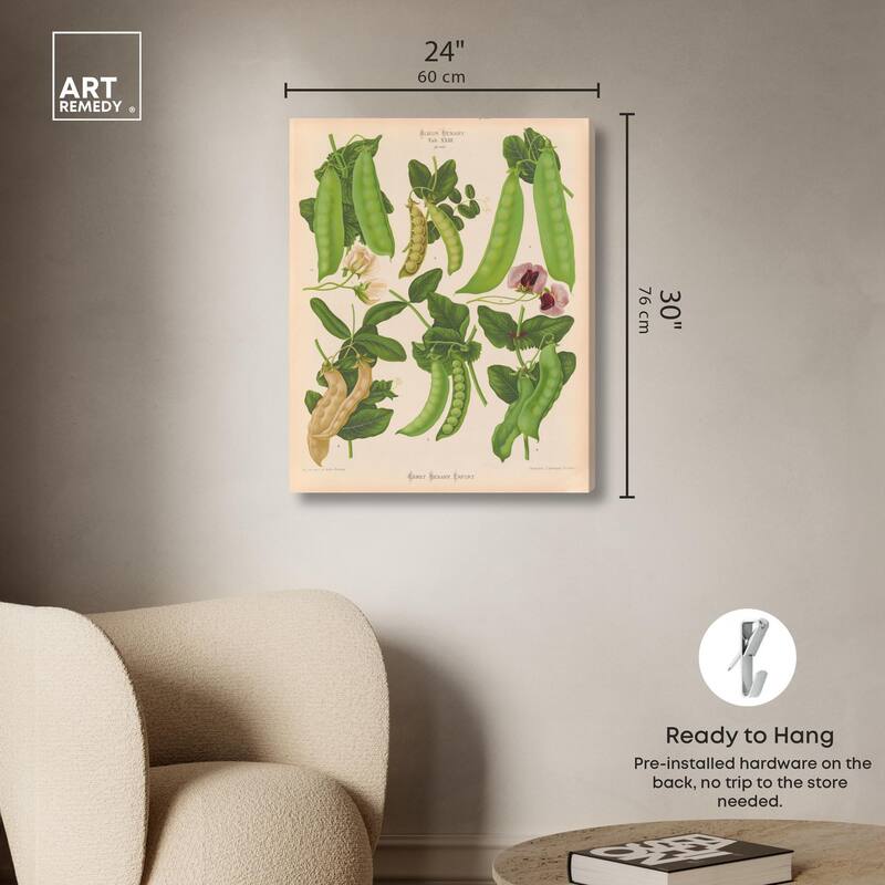 Podded Peas from Benary 1876 Canvas by Art Remedy, Gallery Wrapped