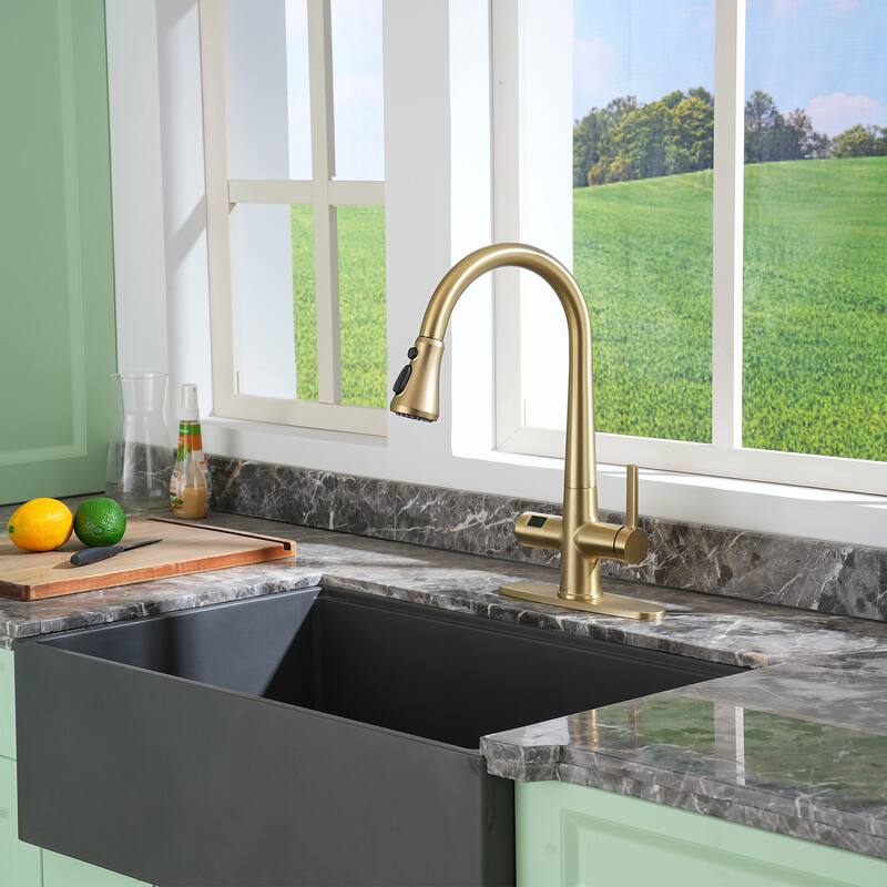 Single-Handle Pull-Out Sprayer Kitchen Faucet with Digital Display - Brushed Gold