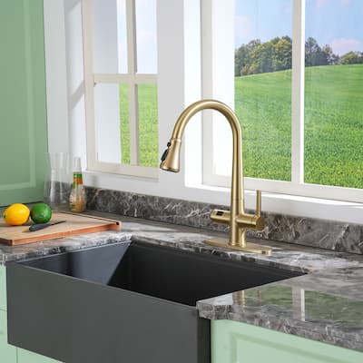 Single-Handle Pull-Out Sprayer Kitchen Faucet with Digital Display