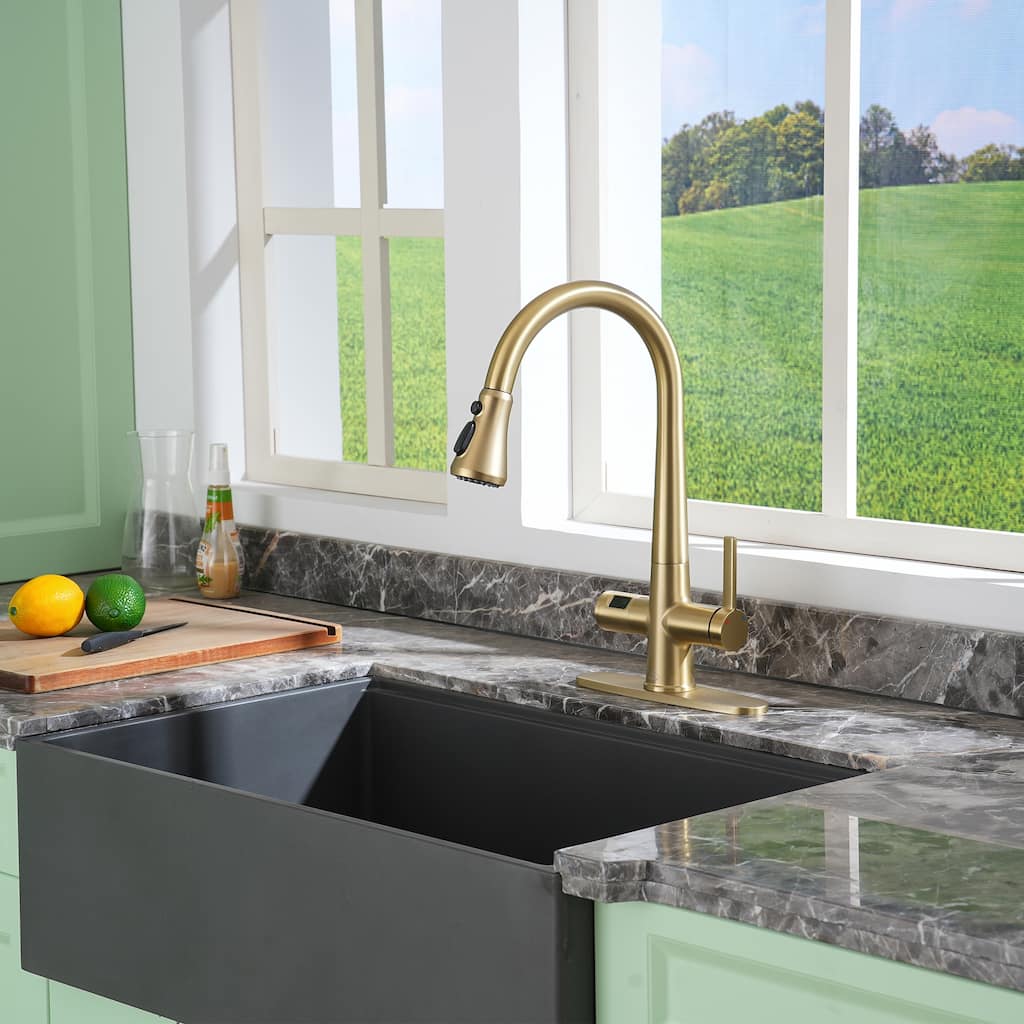 Single-Handle Pull-Out Sprayer Kitchen Faucet with Digital Display