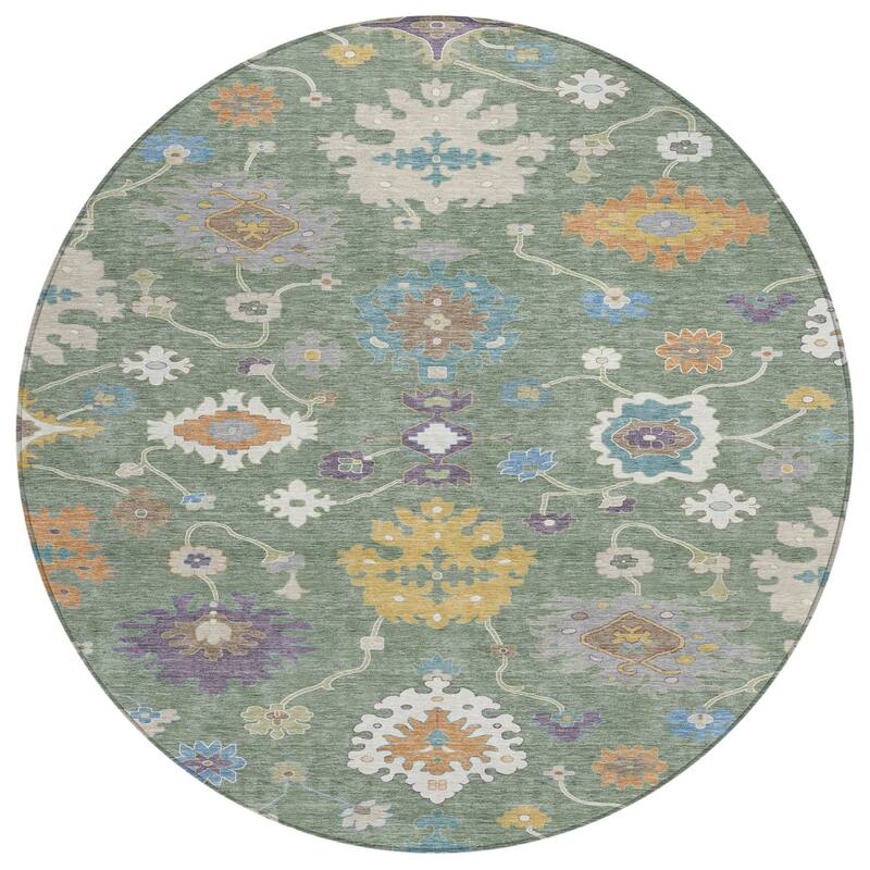 Machine Washable Indoor/ Outdoor Traditonal Delhi Chantille Rug