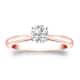 Option Rose