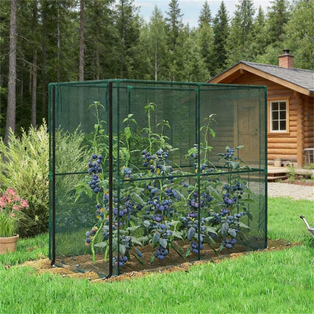 Crop Cage, Spacious Protection for Tall Crops, Green