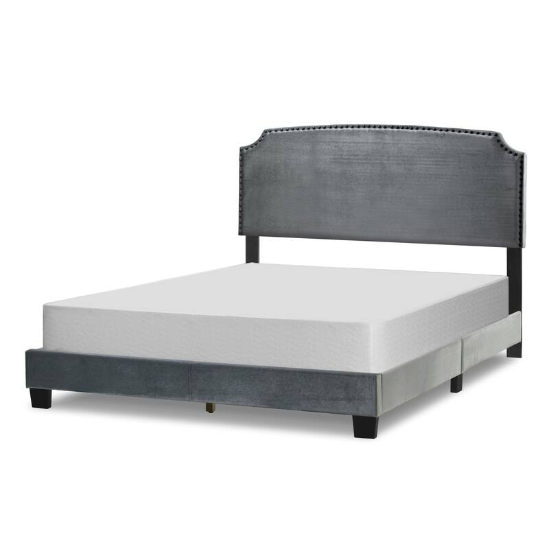 Arezo Silver Grey Velvet Queen Bed with Black Nail Head Trim