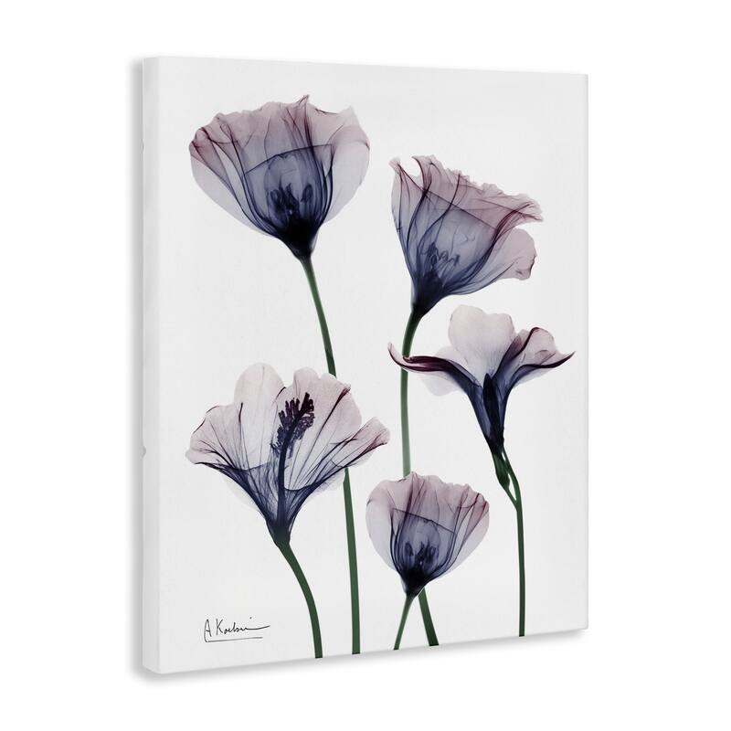 Stupell Subtle Fresh Flowers Canvas Wall Art Design By Albert Koetsier