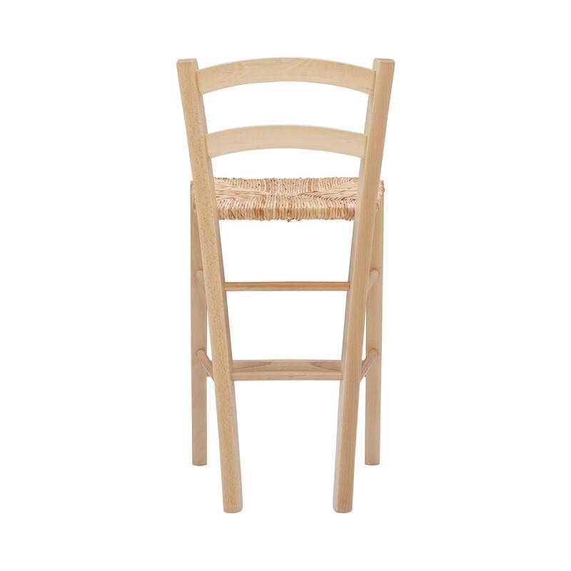 Cloney Counter Stool (Set of 2)