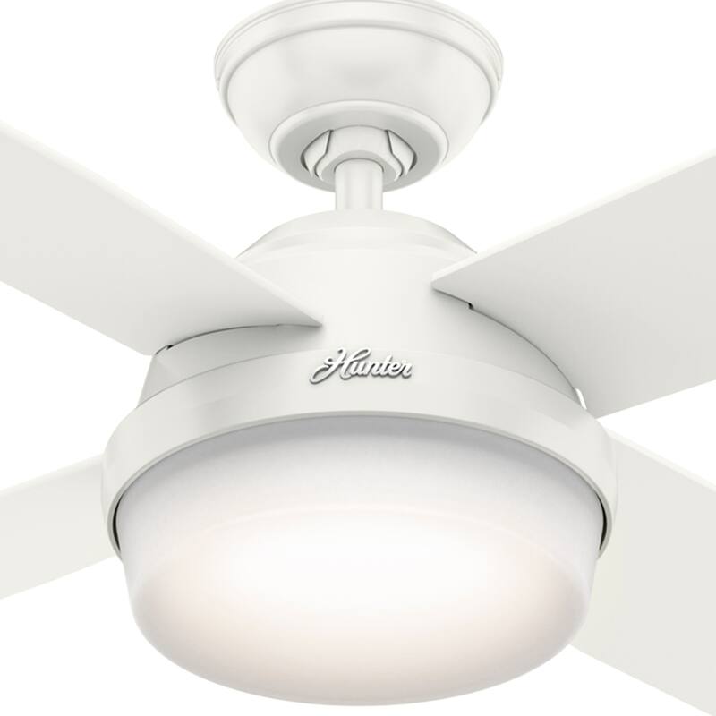 Hunter Fan Dempsey Collection Matte Black Metal and Glass Ceiling Fan with 4 Reversible Blackened Oak/Dark Walnut Blades