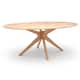 Option Oak
