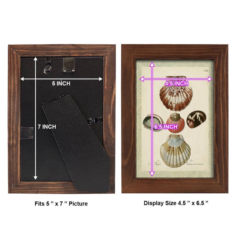 Bookplate Shells III -Framed Print w/glass-Cherry Red