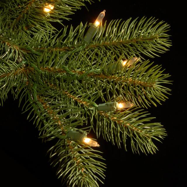 Downswept Douglas Pencil Slim Fir Tree