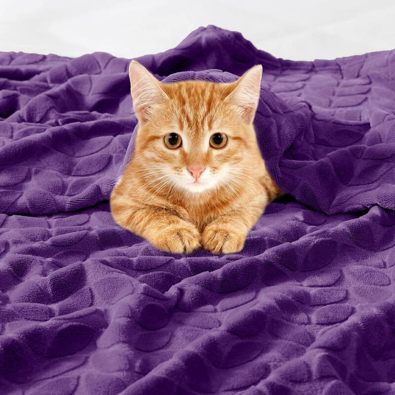 Walensee Fleece Throw Blanket Soft and Lightweight for Couch, Sofa, Bed and Lounge Chair, 50"x60"