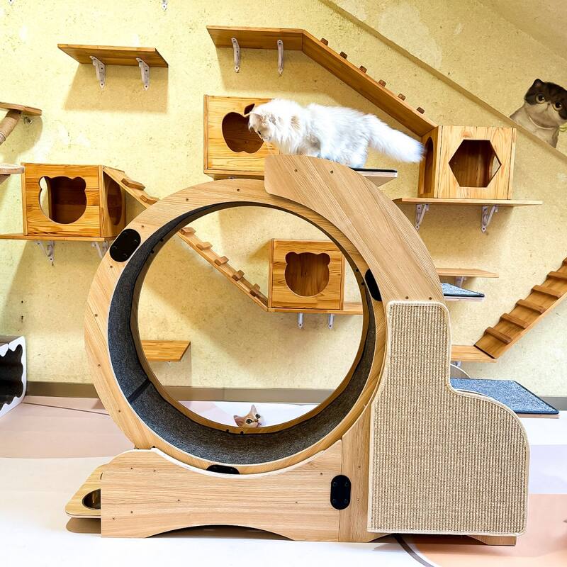 Cat Exercise Wheel With Silent Wheel Wood - Brown