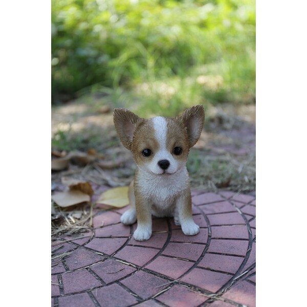 Brown White Chihuahua Puppy On Sale Bed Bath Beyond 29628976
