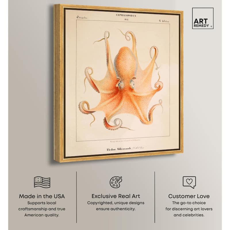 Verany The Octopus 1815 II Canvas by Art Remedy