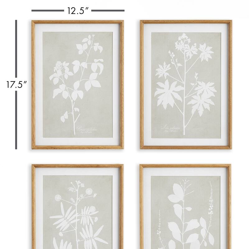 Foliage Study
