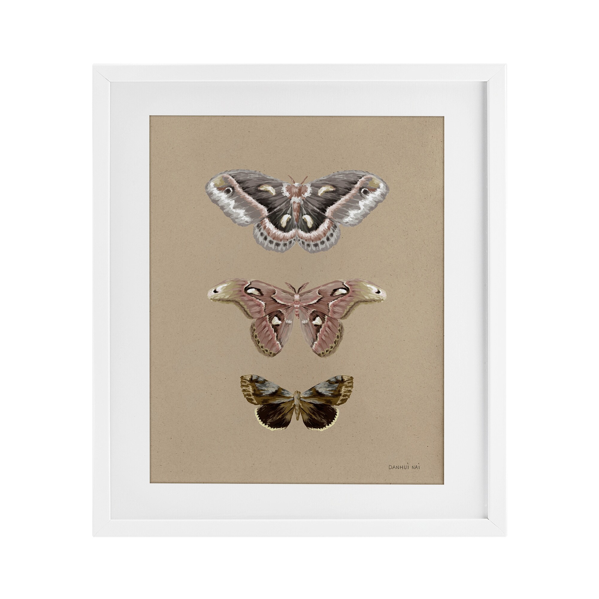 Stupell Beauty Of The Forest Under Glass Framed Design By Danhui Nai