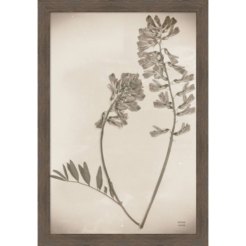 Wildflower Journal Vintage No. 6 by Nathan Larson Wood Framed Wall Art Print
