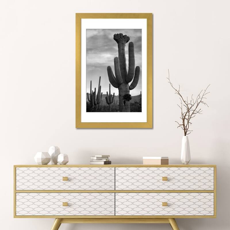 iCanvas "Saguaros, Saguaro National Monument" by Ansel Adams