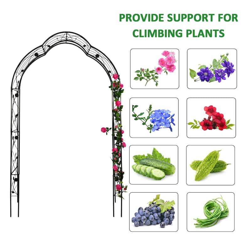 Metal arch trellis suitable for weddings and garden plant climbing