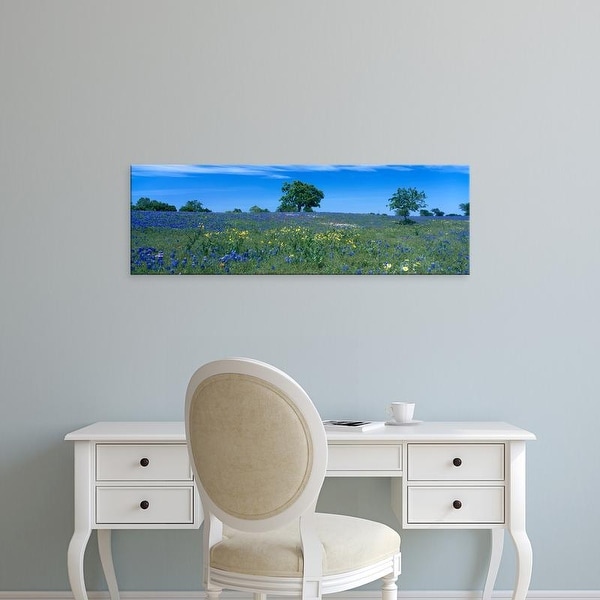 Easy Art Prints Panoramic Images's 'Texas bluebonnets flowers in a field, Texas Hill Country, Texas' Canvas Art