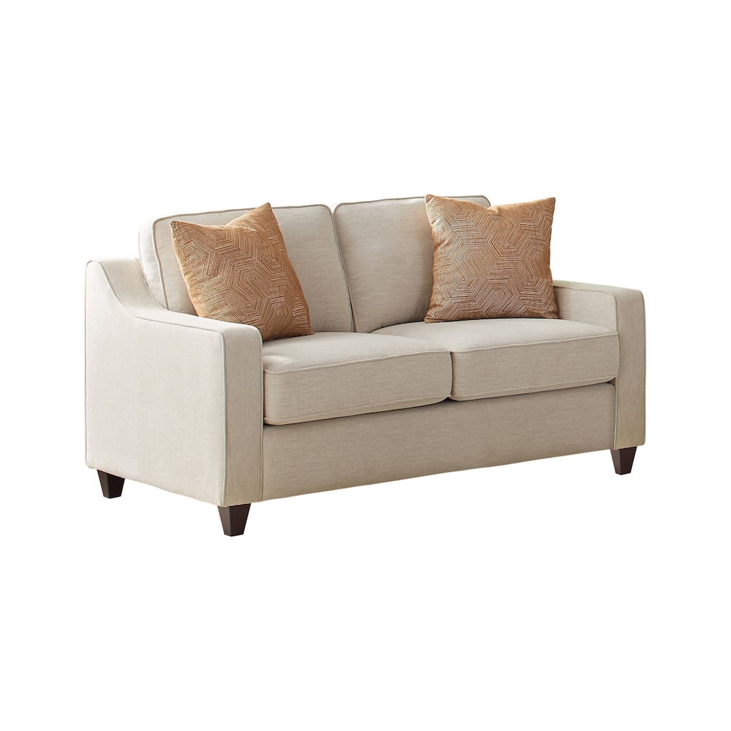 Leo 64 Inch Contemporary Loveseat with 2 Pillows, Chenille Fabric, Beige