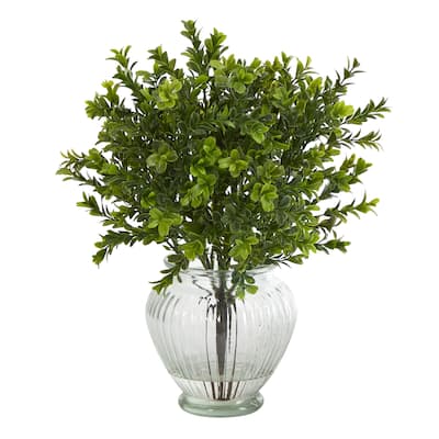 14" Boxwood Artificial Plant in Glass Planter (Indoor/Outdoor)