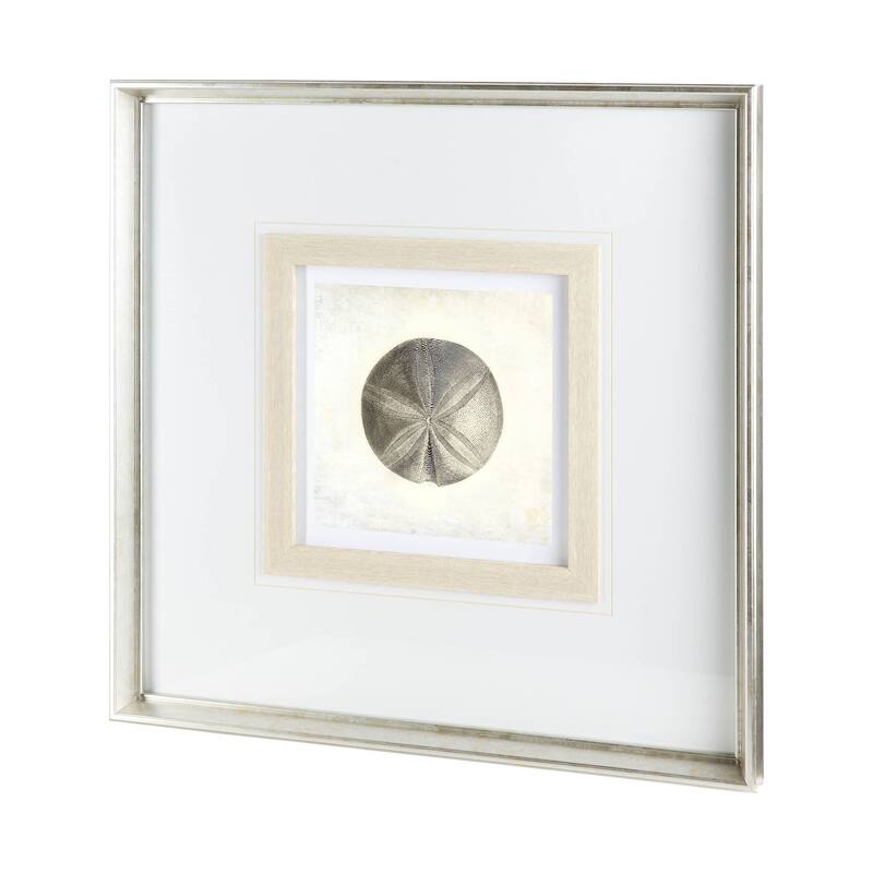 Vintage Sand Dollar Framed Art Print