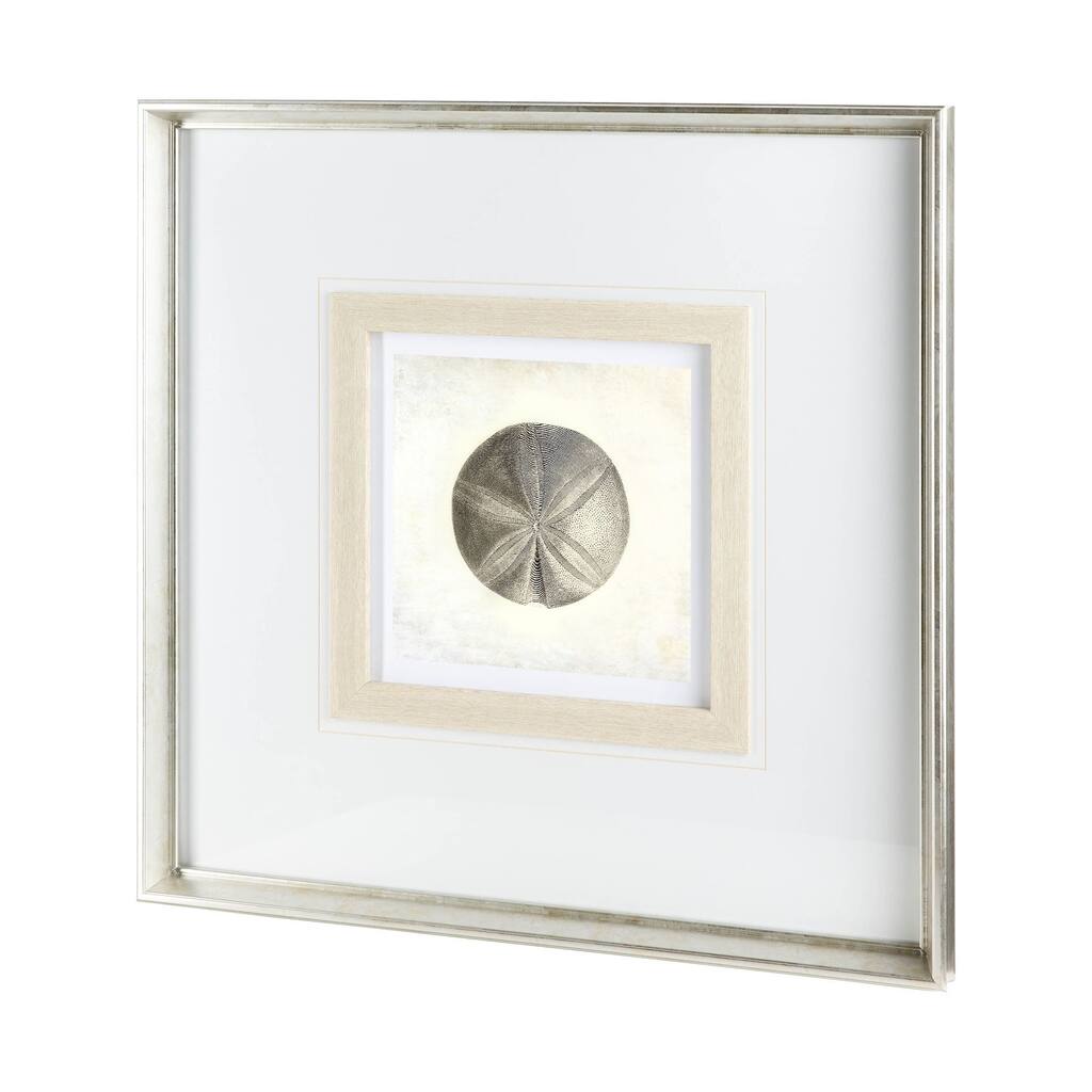 Vintage Sand Dollar Framed Art Print