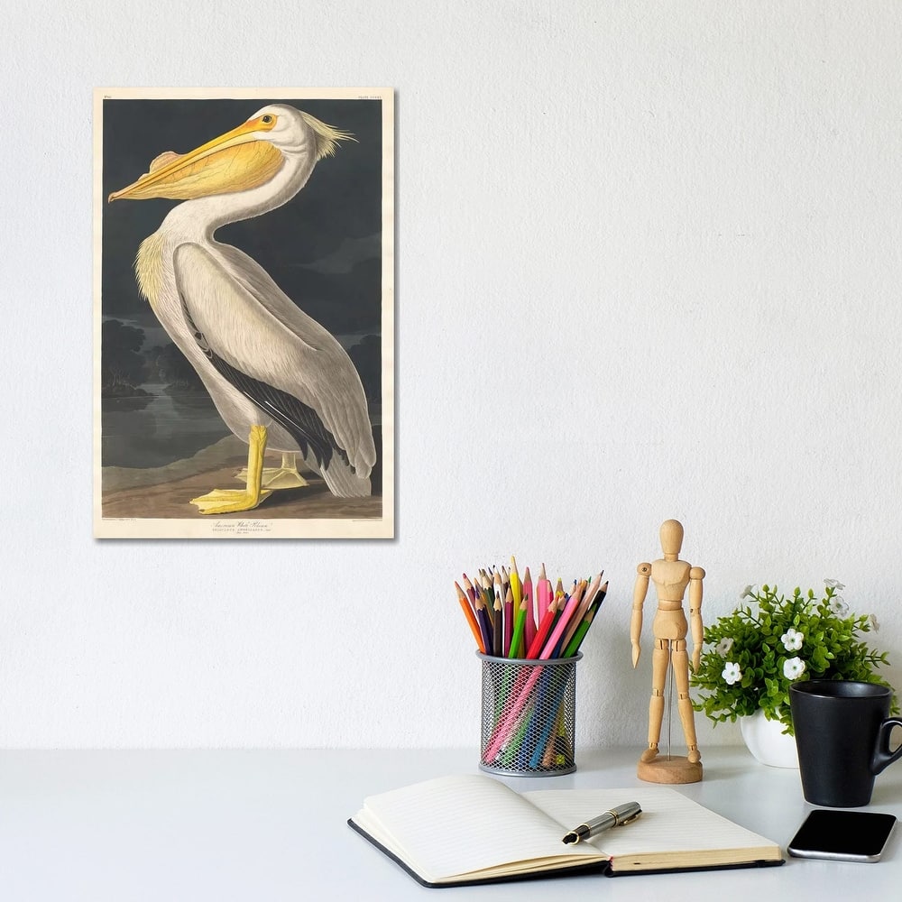iCanvas "American White Pelican" by John James Audubon Canvas Print