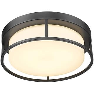 12 inch LED ceiling light black ceiling lamp with frosted glass shade - N/A