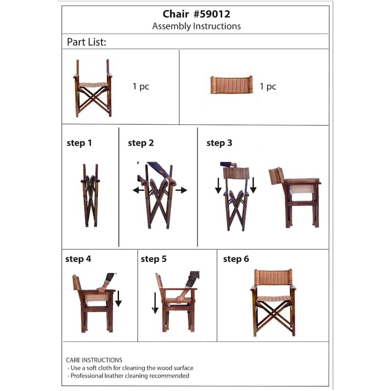 Carbon Loft Taymor Leather Director's Chair