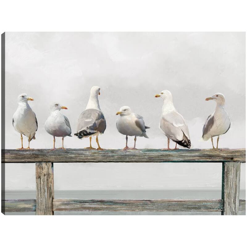 Gathering of Gulls By Studio Arts Canvas Art Print