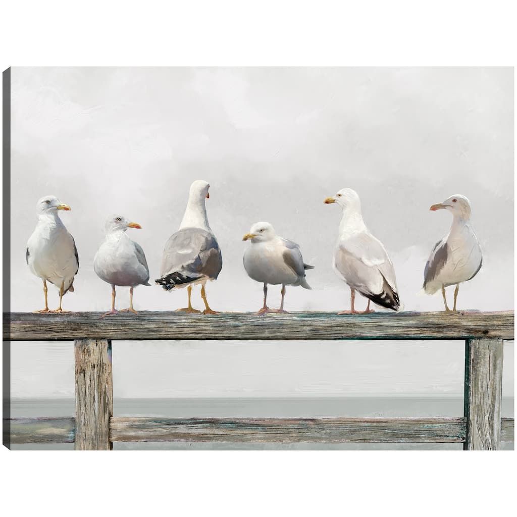 Gathering of Gulls By Studio Arts Canvas Art Print