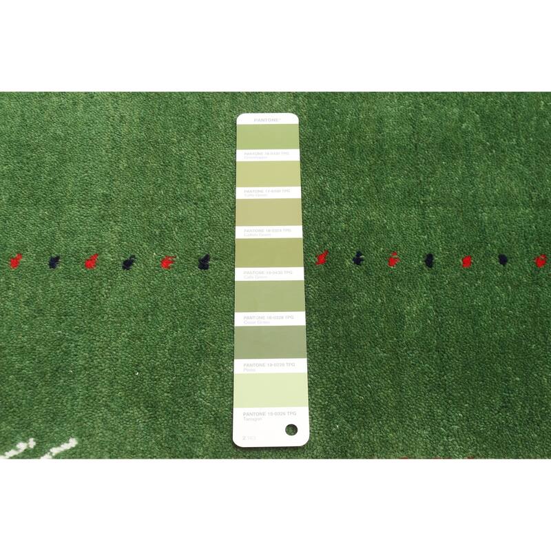 ECARPETGALLERY Hand Loomed Kashkuli Gabbeh Green Wool Rug - 3'1 x 5'0