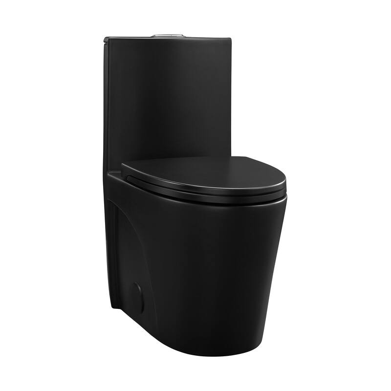 St. Tropez One Piece Elongated Toilet Dual Vortex Flush 1.1/1.6 gpf with 10" Rough In