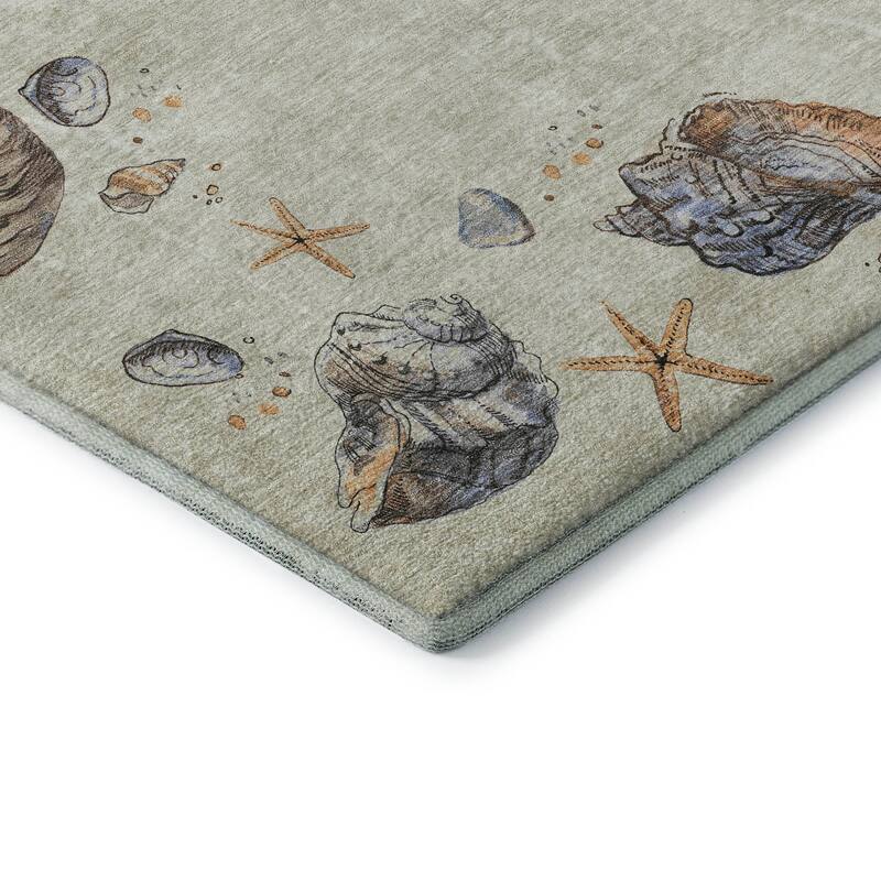 Premium Washable Super Soft Coastal Shell Border Mayfield Rug