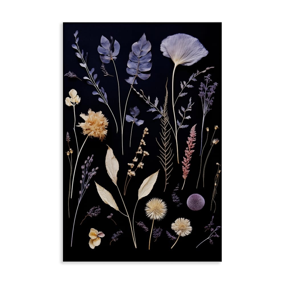 Stupell Various Sprigs on Black Canvas Wall Art Design By Heidi Kuntz