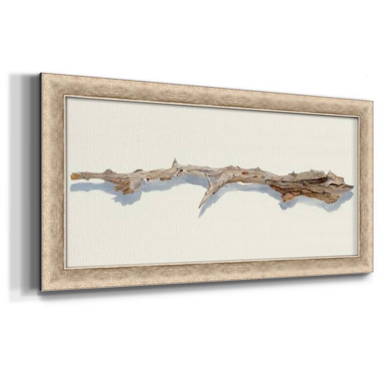 Driftwood Study I Premium Framed Canvas- Ready to Hang